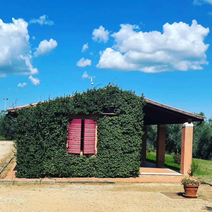 Tenuta Agricola Fraschiera Villa Massa Marittima Esterno foto