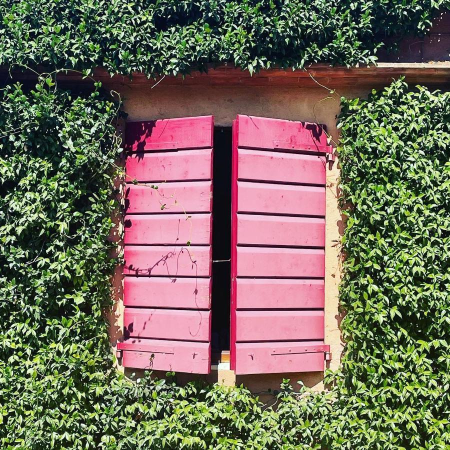 Tenuta Agricola Fraschiera Villa Massa Marittima Esterno foto