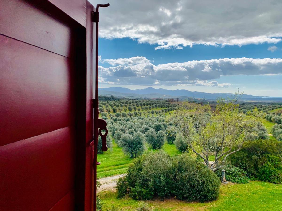 Tenuta Agricola Fraschiera Villa Massa Marittima Esterno foto