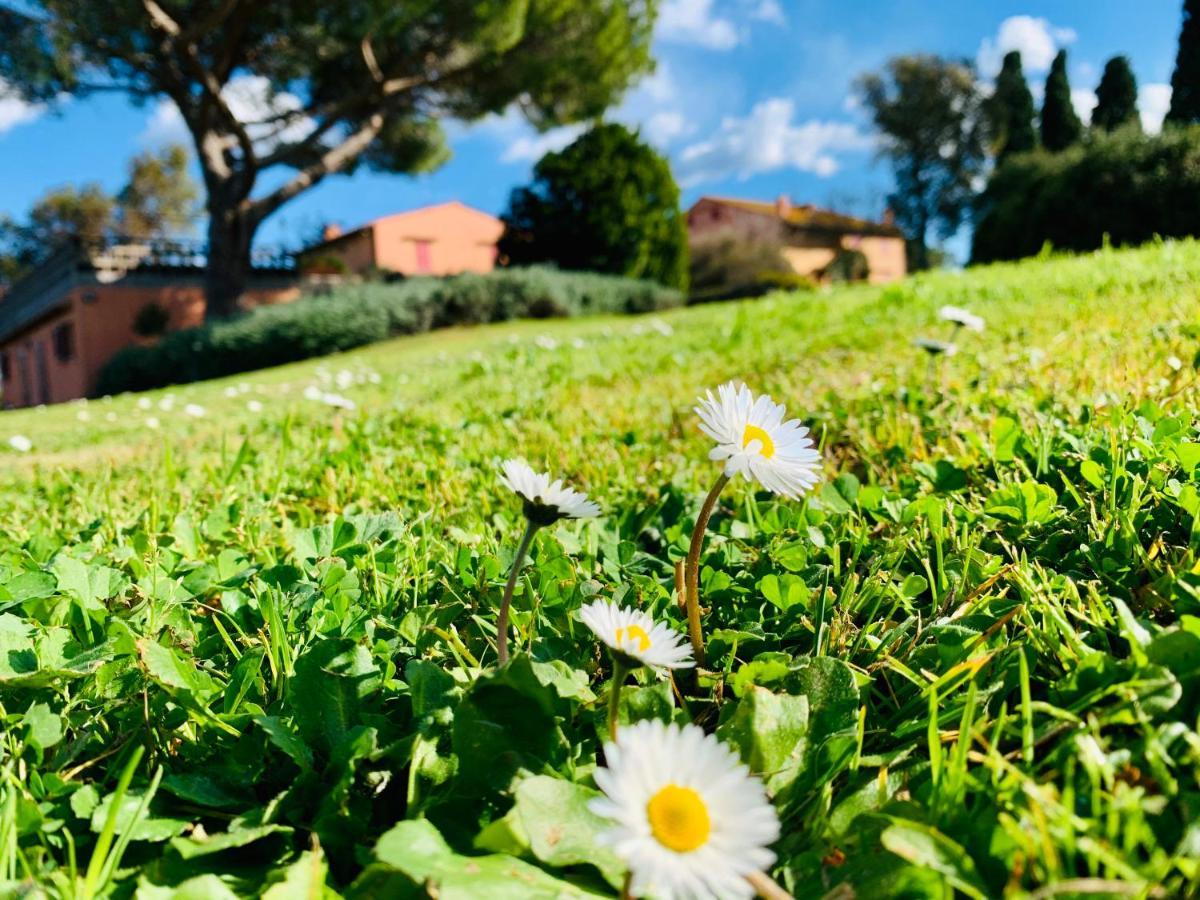 Tenuta Agricola Fraschiera Villa Massa Marittima Esterno foto