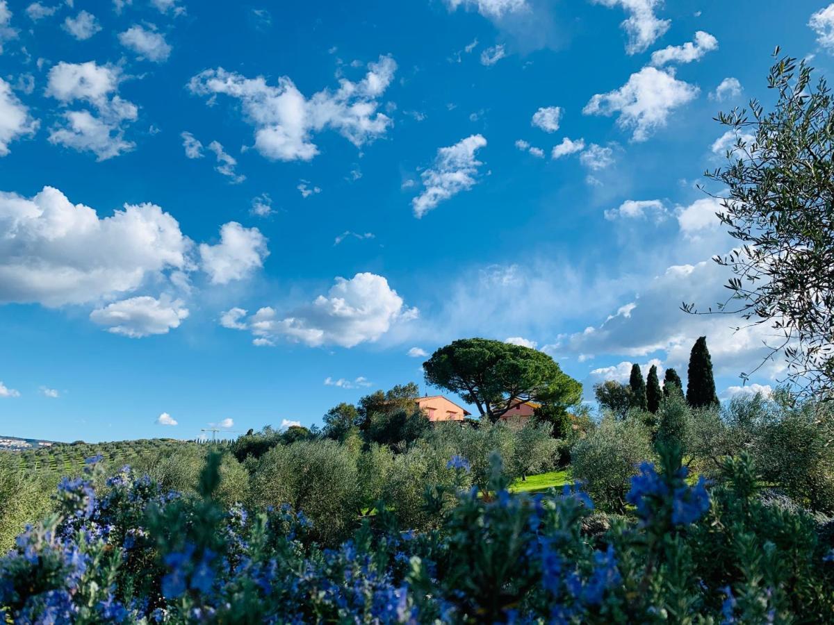 Tenuta Agricola Fraschiera Villa Massa Marittima Esterno foto