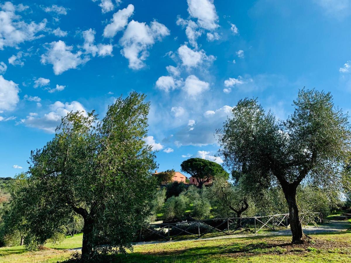 Tenuta Agricola Fraschiera Villa Massa Marittima Esterno foto