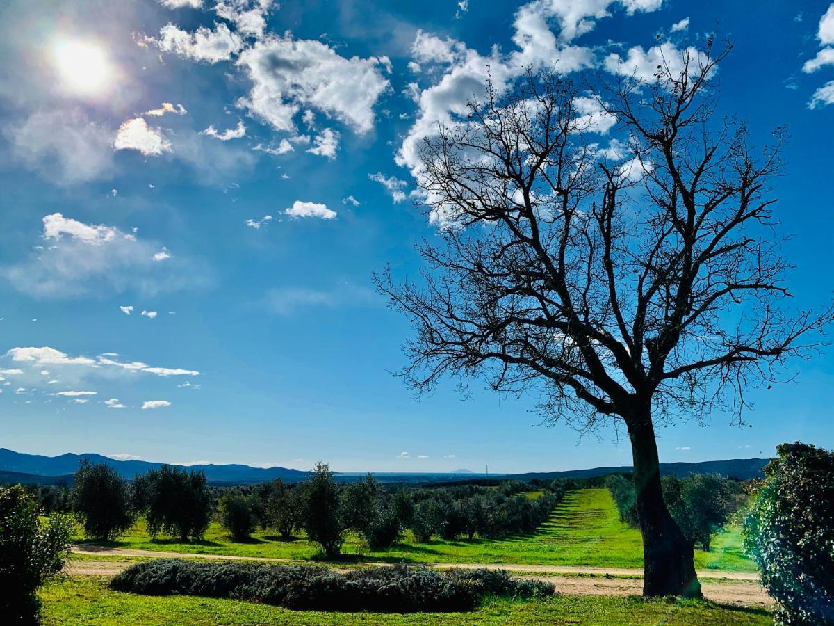 Tenuta Agricola Fraschiera Villa Massa Marittima Esterno foto