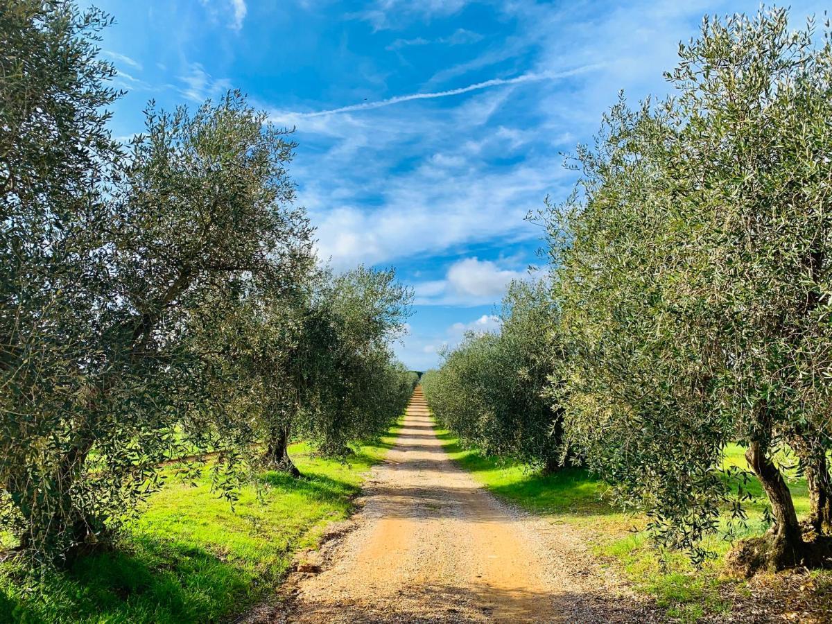 Tenuta Agricola Fraschiera Villa Massa Marittima Esterno foto