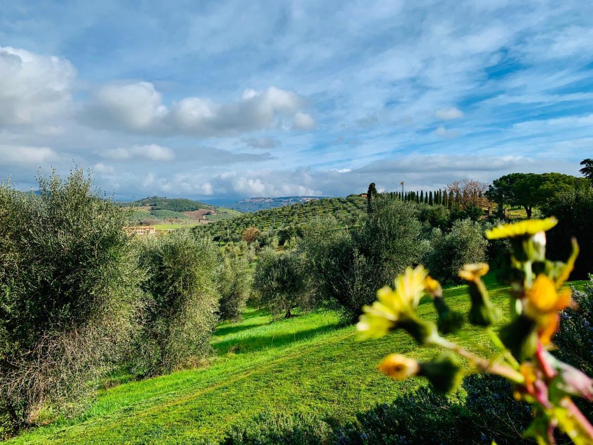 Tenuta Agricola Fraschiera Villa Massa Marittima Esterno foto