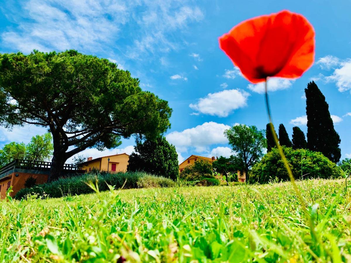 Tenuta Agricola Fraschiera Villa Massa Marittima Esterno foto