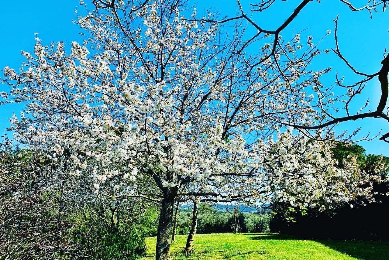 Tenuta Agricola Fraschiera Villa Massa Marittima Esterno foto